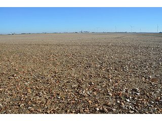 Tract 3 - FARMLAND AUCTION - 165.5+/- ACRES OFFERED IN 5 TRACTS OR COMBINATIONS IN EAST ALLEN COUNTY